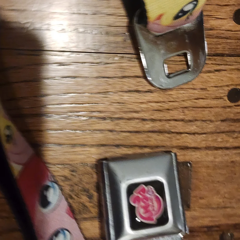 Buckle-Down My Little Pony Kids Belt - Multicolor